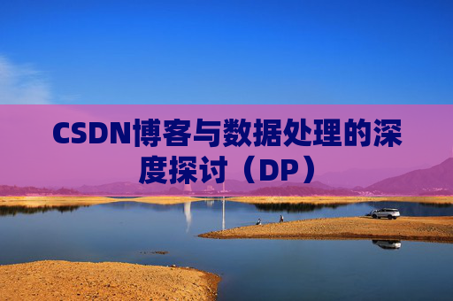CSDN博客与数据处理的深度探讨（DP）